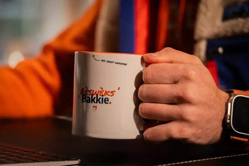 Website laten maken in Rijswijk